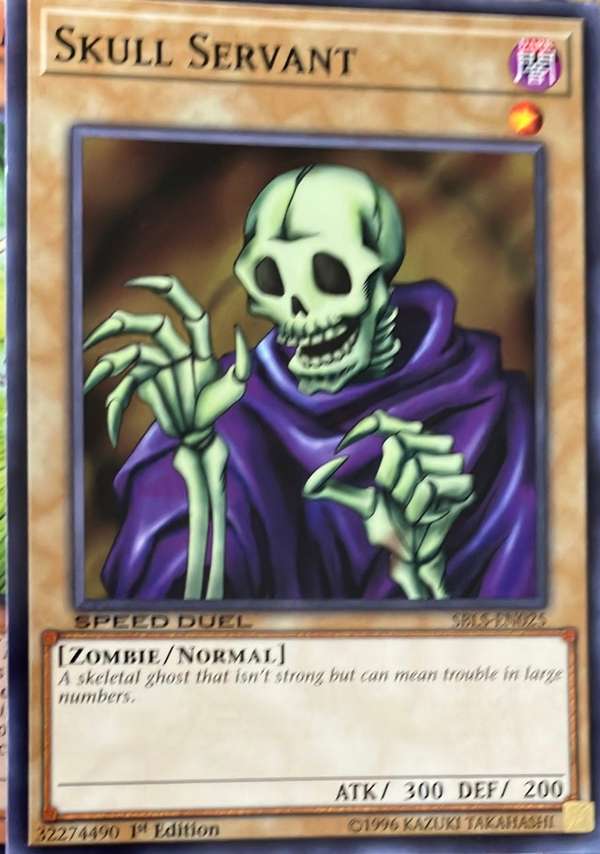 Skull Servant