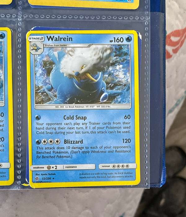 Walrein