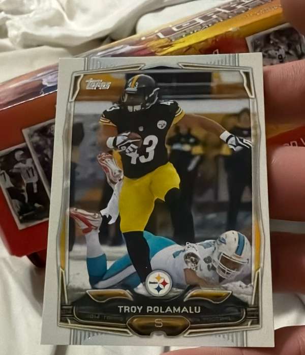 Troy Polamalu