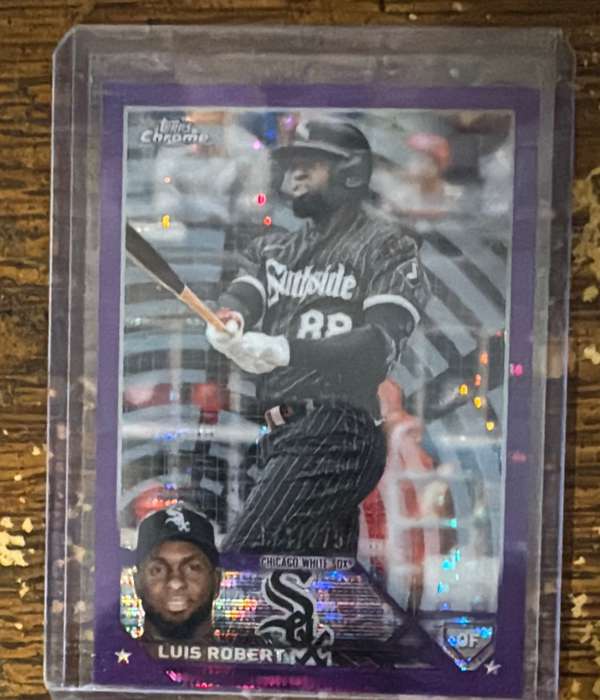 Luis Robert