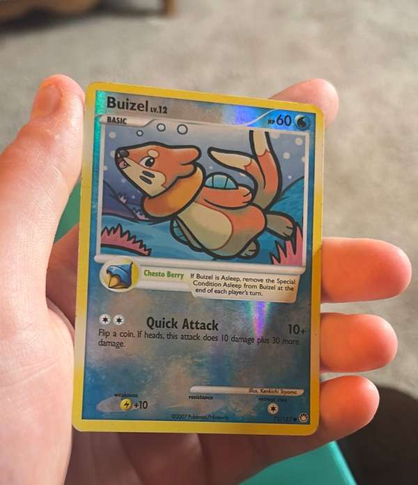 Buizel