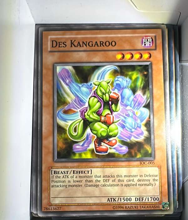 Des Kangaroo