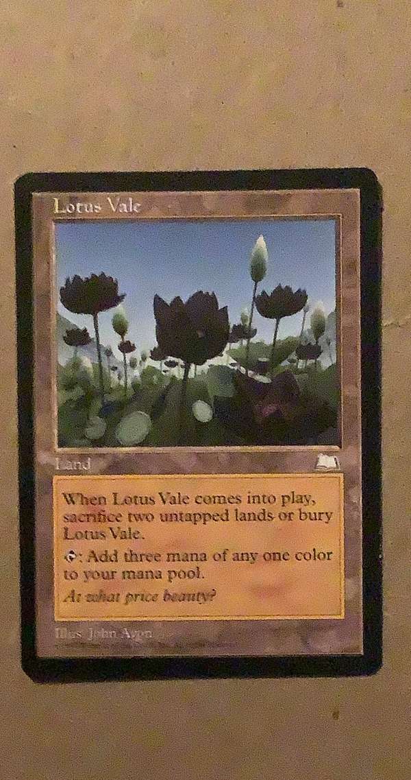 Lotus Vale