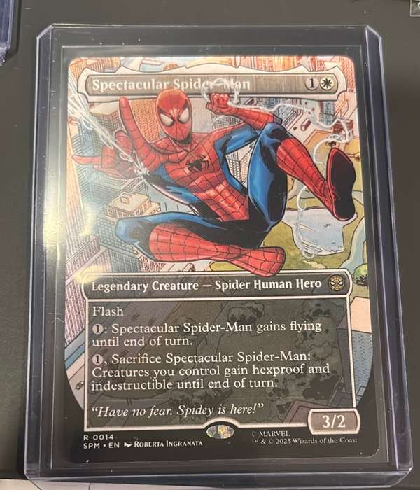 Spectacular Spider-Man (Borderless)