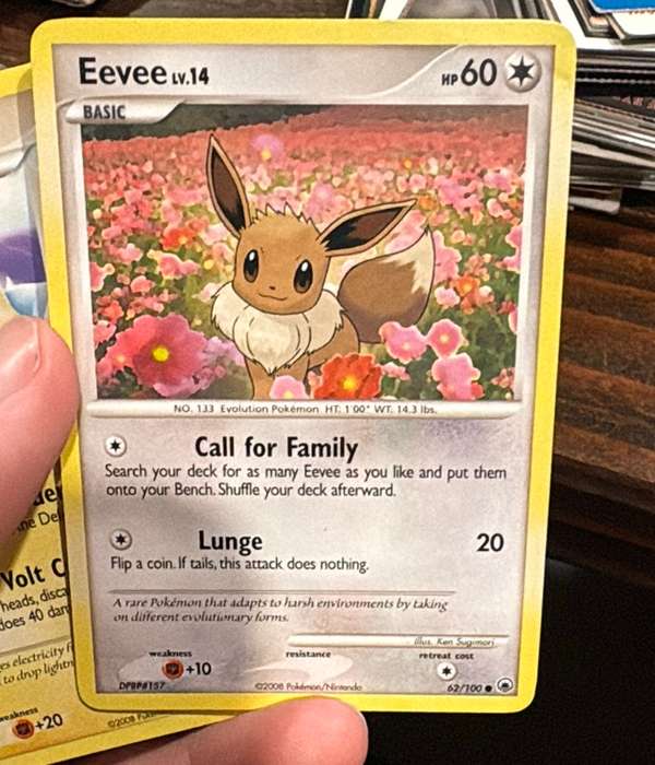 Eevee (62)