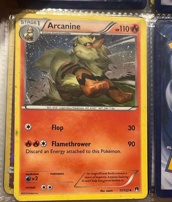 Arcanine