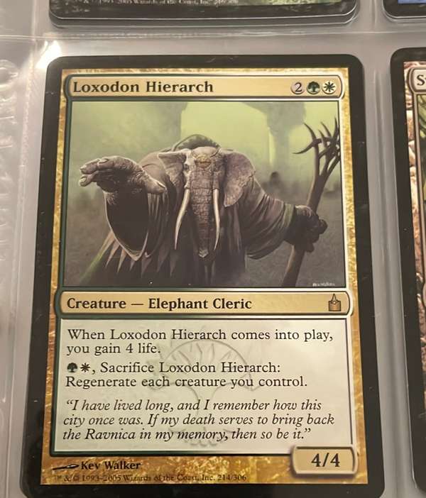 Loxodon Hierarch