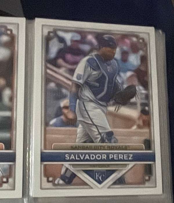 Salvador Perez