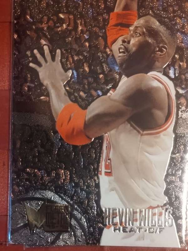 hevin willis