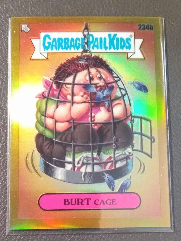 #234b Burt Cage