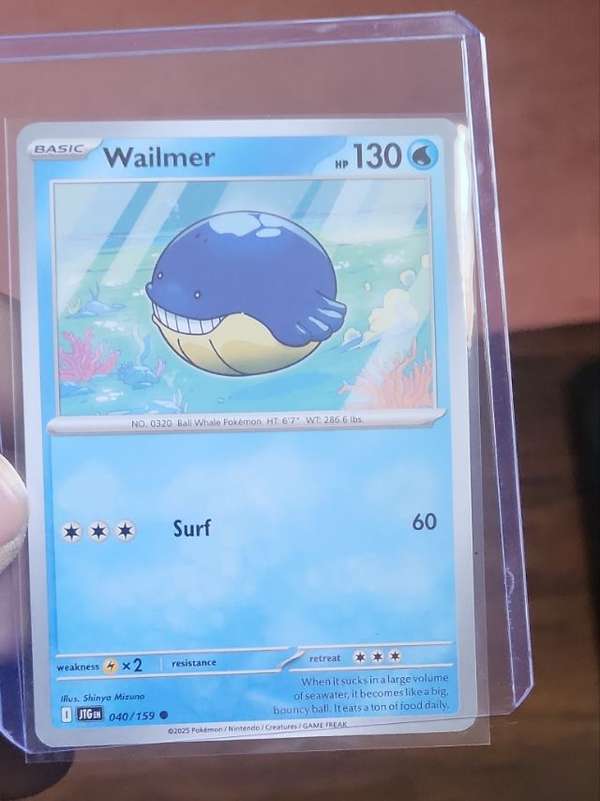 Wailmer