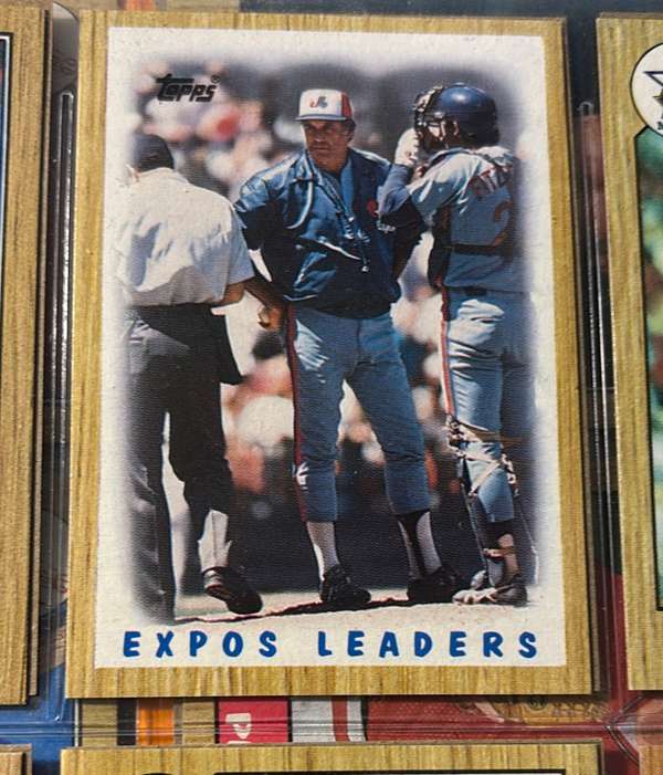 Expos Leaders