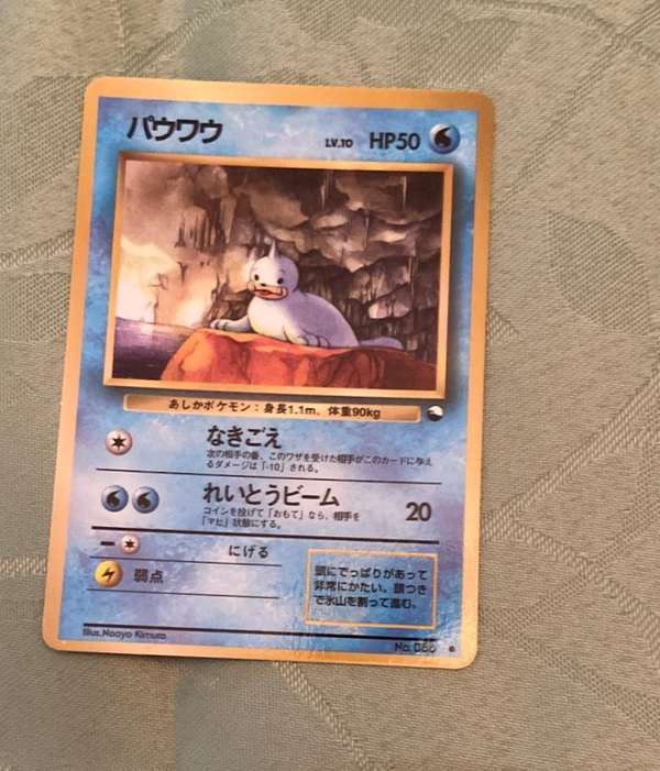 Seel