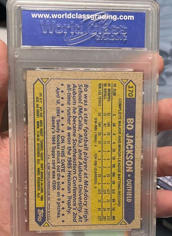 Card back