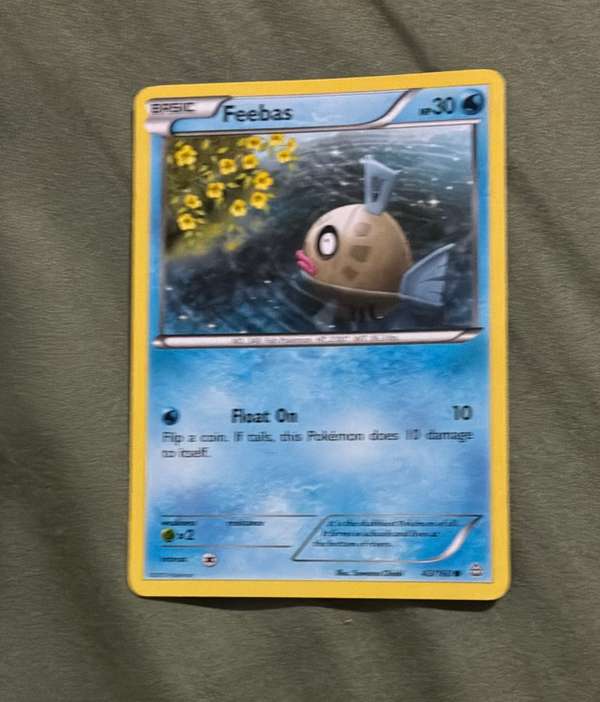 Feebas