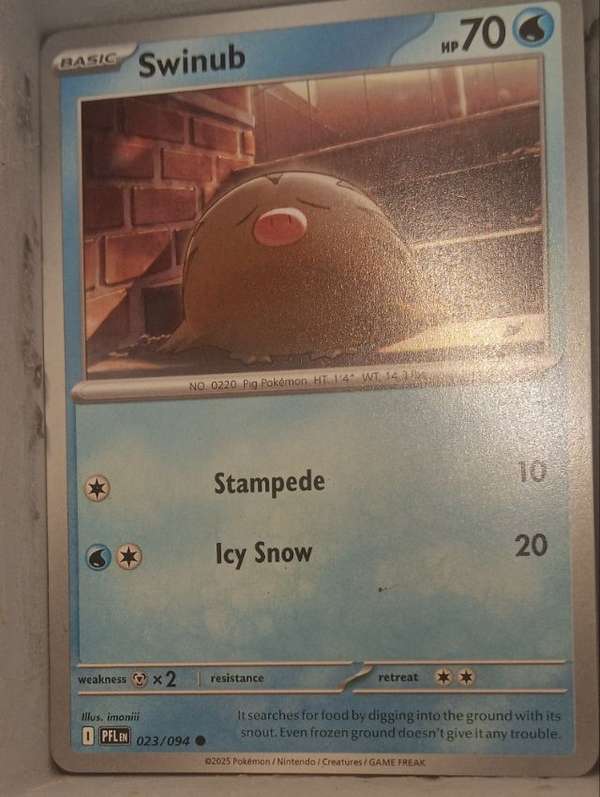 Swinub