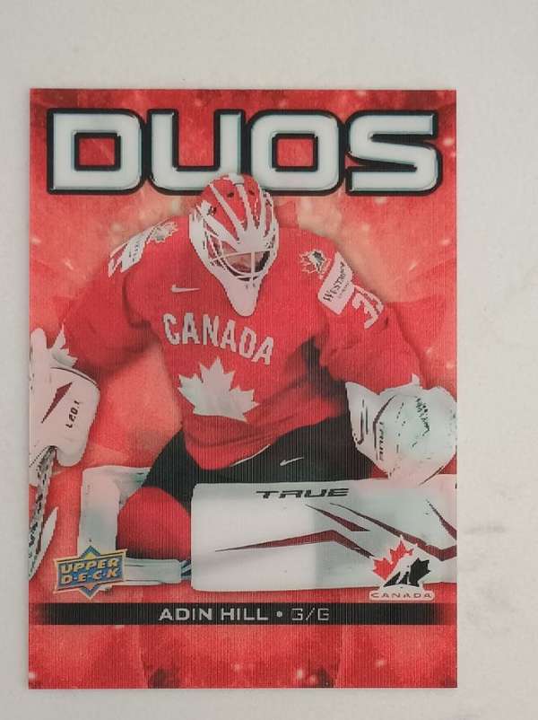 #CO-8 Darcy Kuemper / Adin Hill