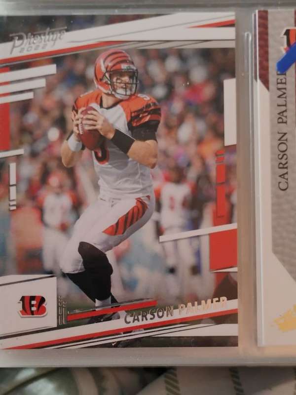 Carson Palmer