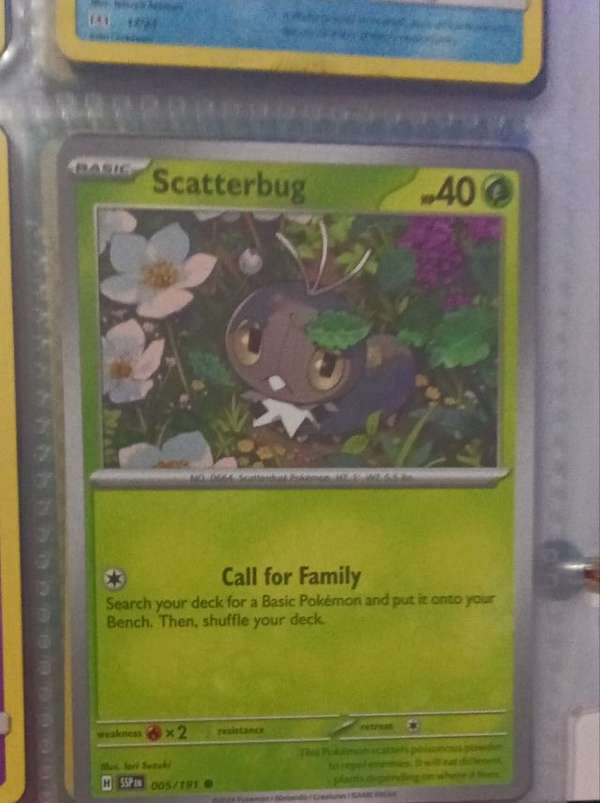 Scatterbug