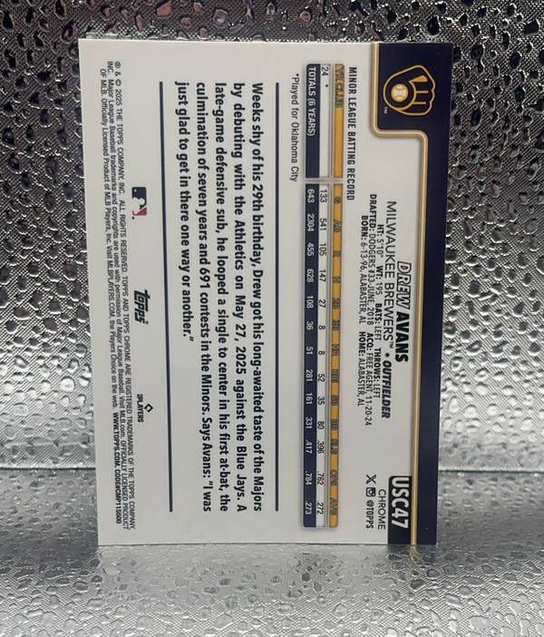 Card back