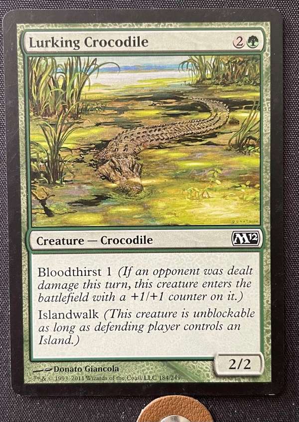 Lurking Crocodile