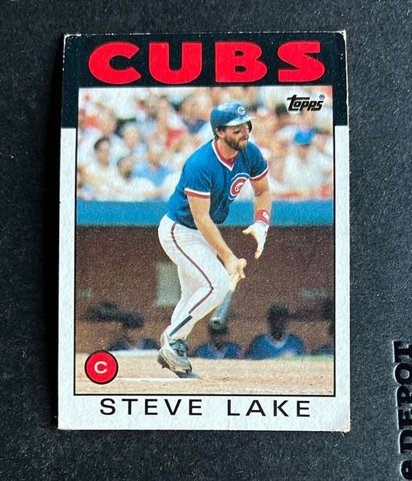 Steve Lake