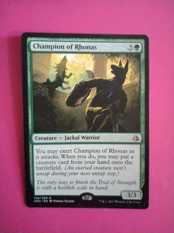 Champion of Rhonas