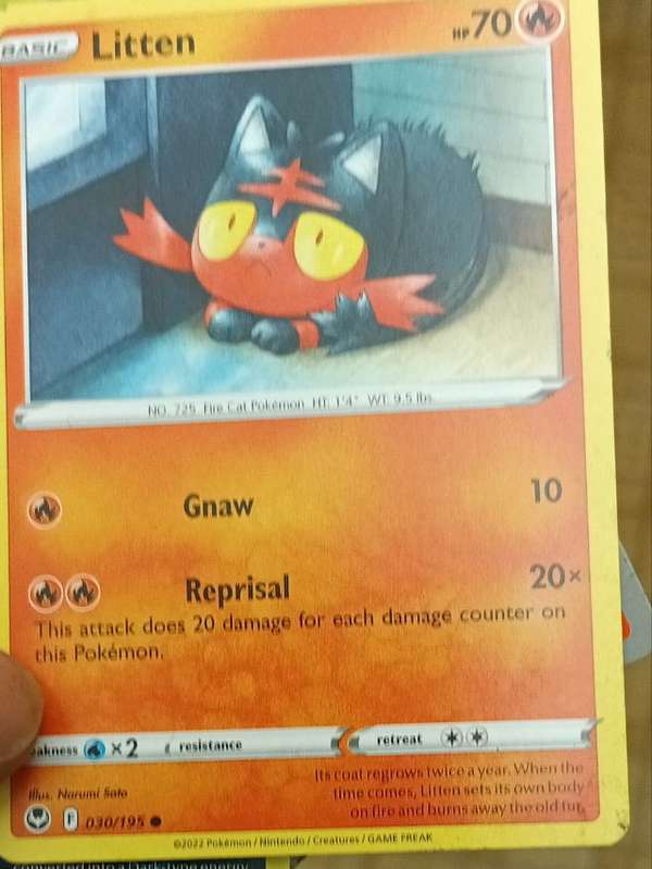 Litten