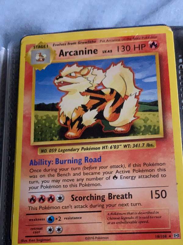 Arcanine