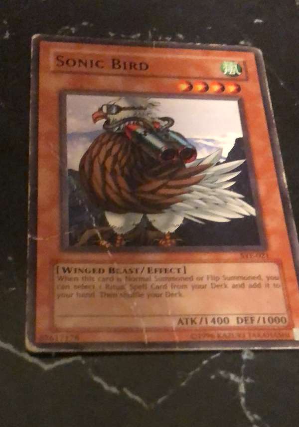#SYE-021 Sonic Bird