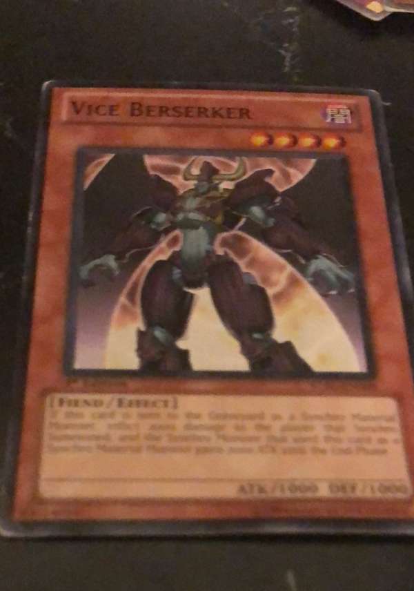 Vice Berserker
