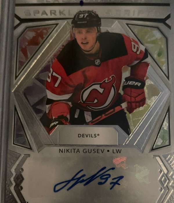 Nikita Gusev