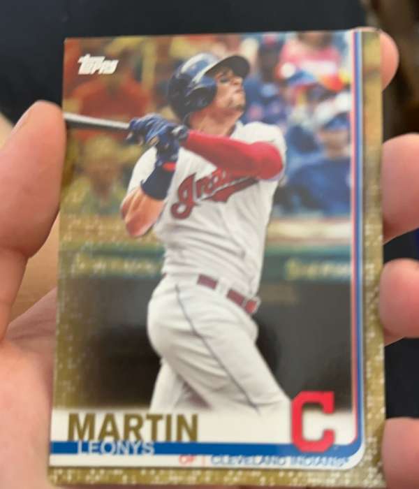 Leonys Martin