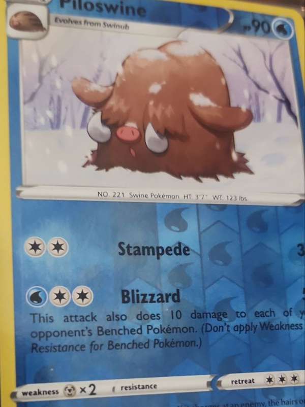 Piloswine