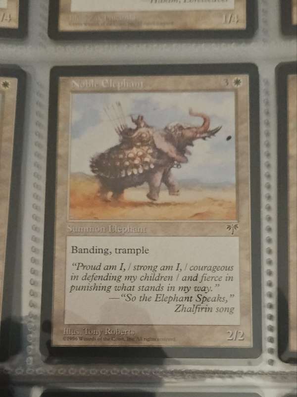 Noble Elephant