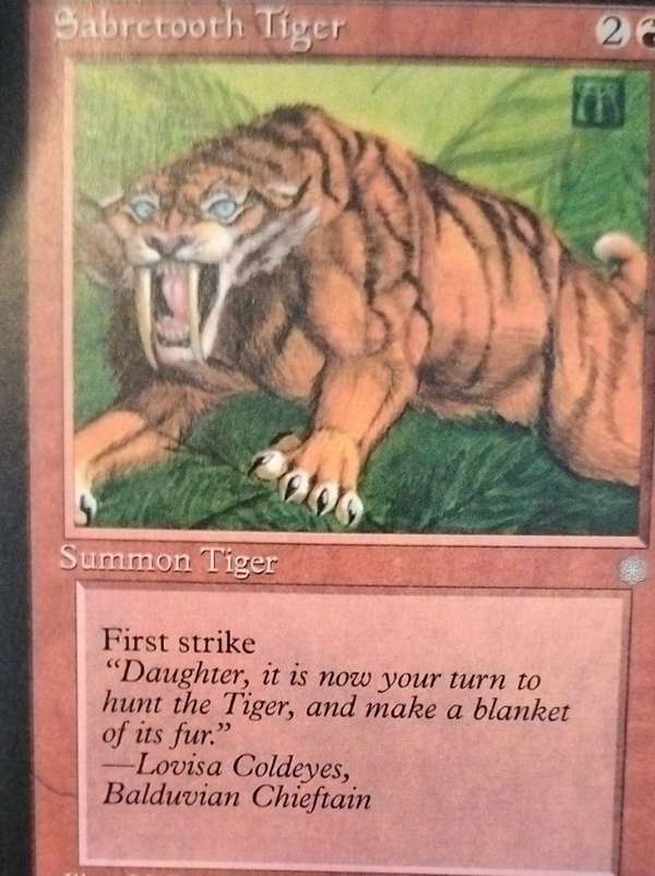 Sabretooth Tiger