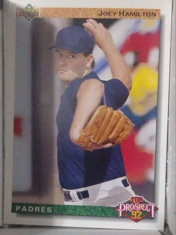 Joey Hamilton
