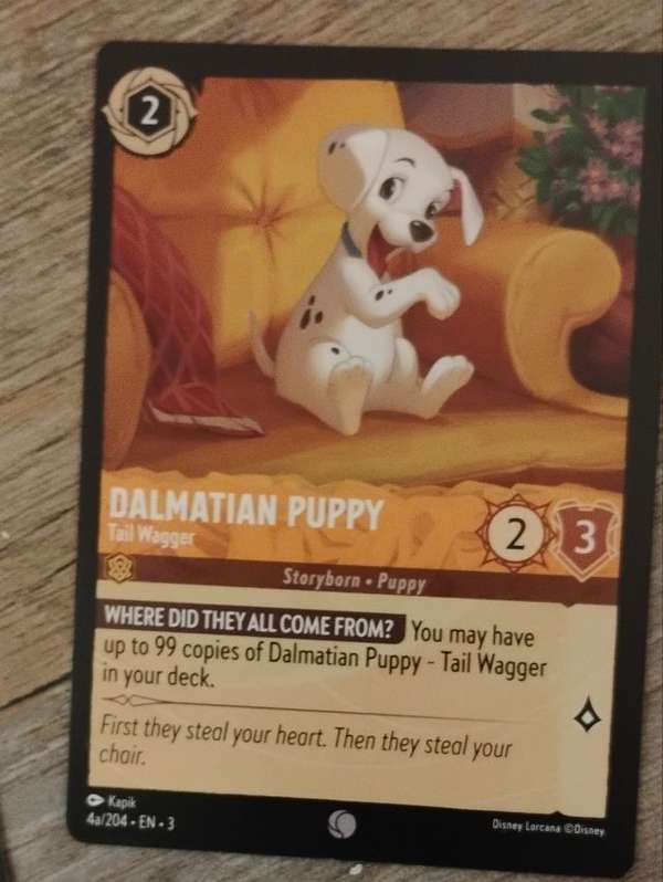 Dalmatian Puppy