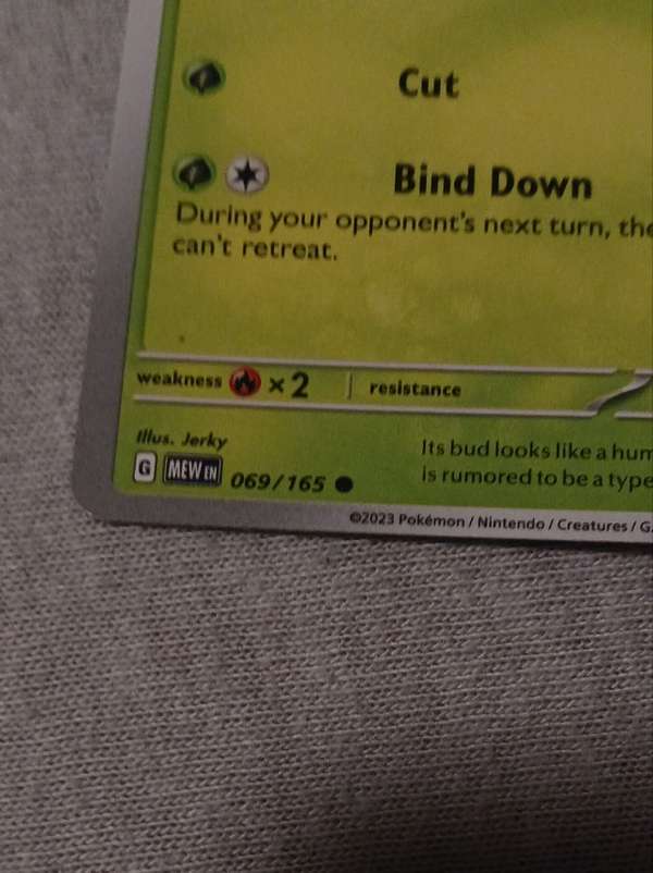 Card back