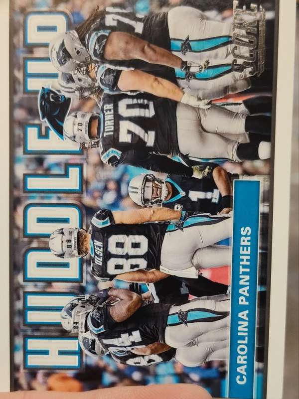 Carolina Panthers