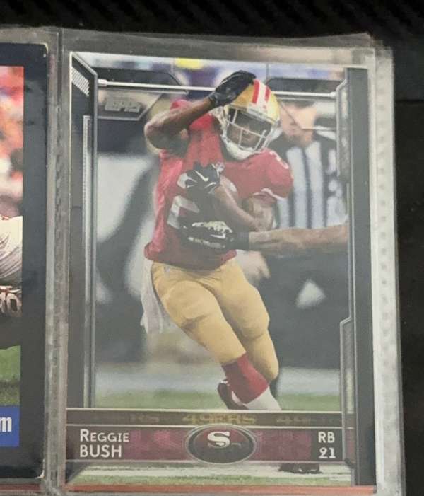 Reggie Bush
