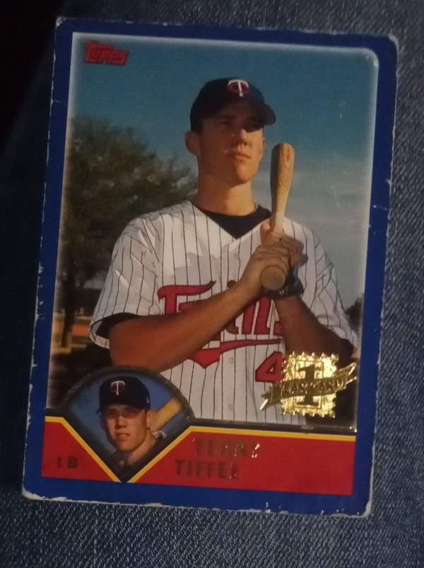 Terry Tiffee