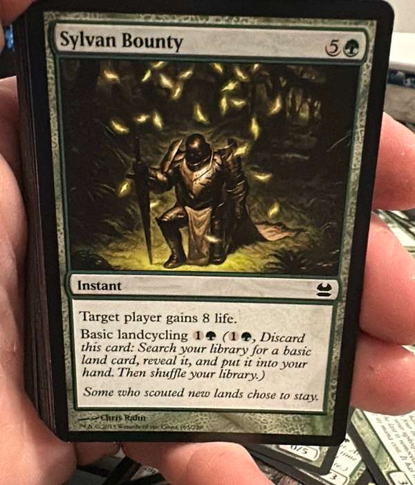Sylvan Bounty