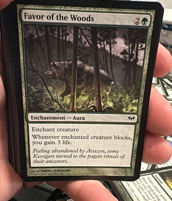 Favor of the Woods