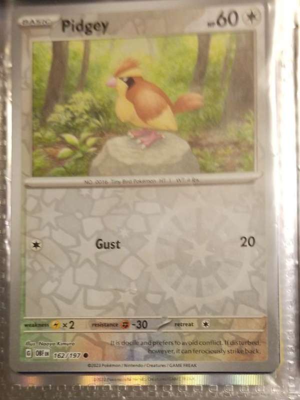 Pidgey