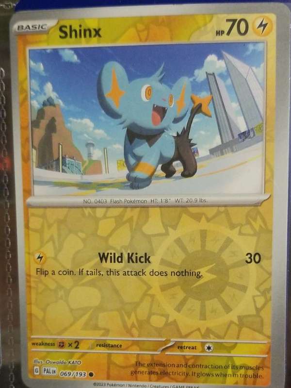 Shinx