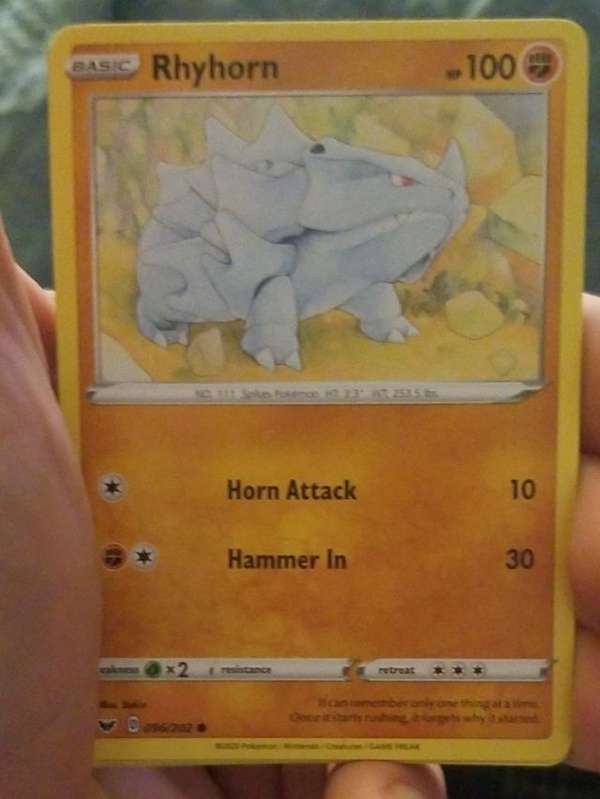 Rhyhorn (096)