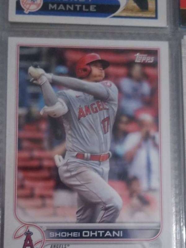 Shohei Ohtani