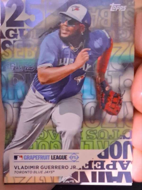 Vladimir Guerrero Jr.