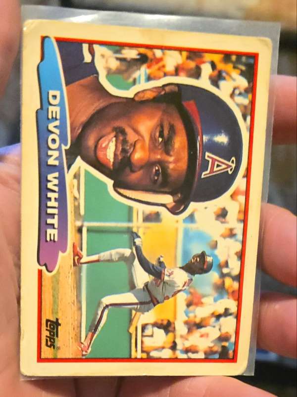 Devon White